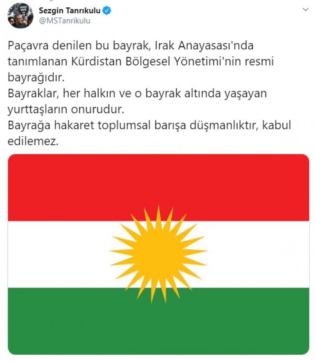 CHP li Sezgin Tanrıkulu, Kürdistan bayrağını korumaya aldı #1