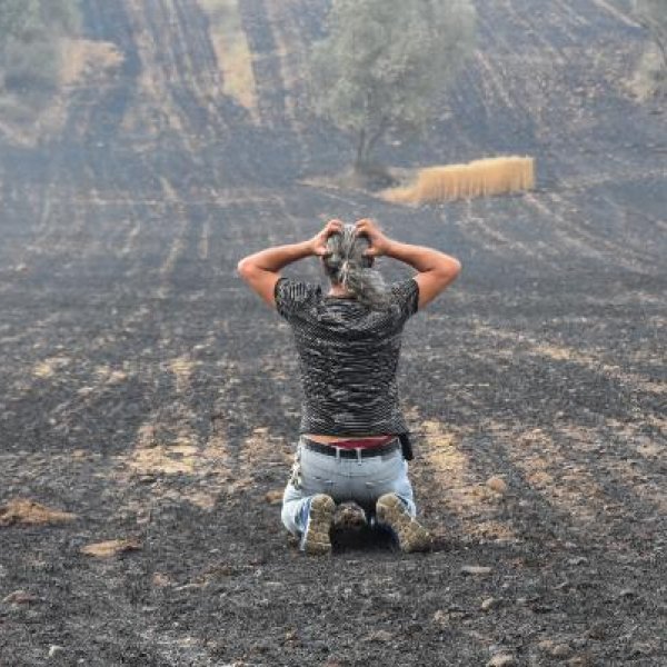 Gelibolu'da tarlaları yanan köylülerin üzüntüsü #1