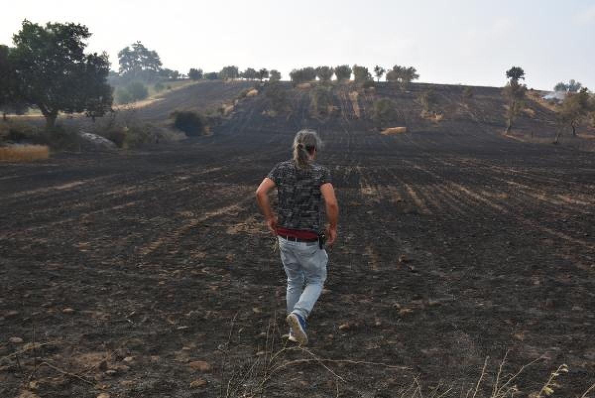 Gelibolu'da tarlaları yanan köylülerin üzüntüsü #3