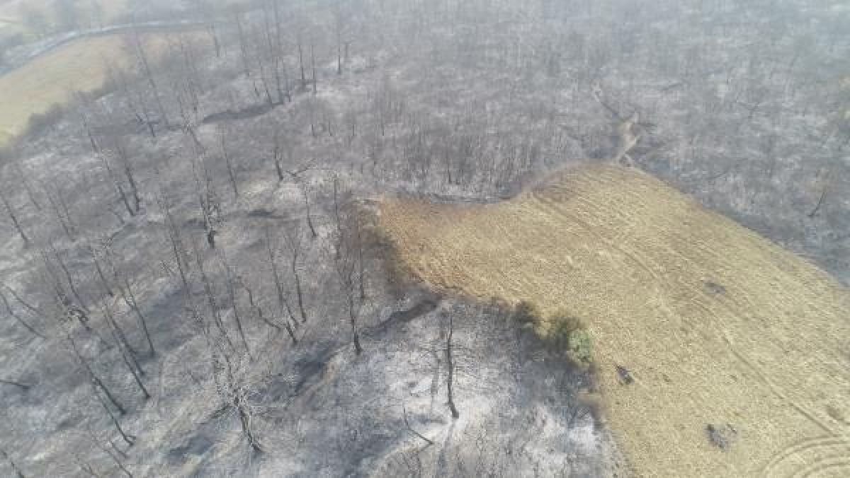 Gelibolu'da tarlaları yanan köylülerin üzüntüsü #5