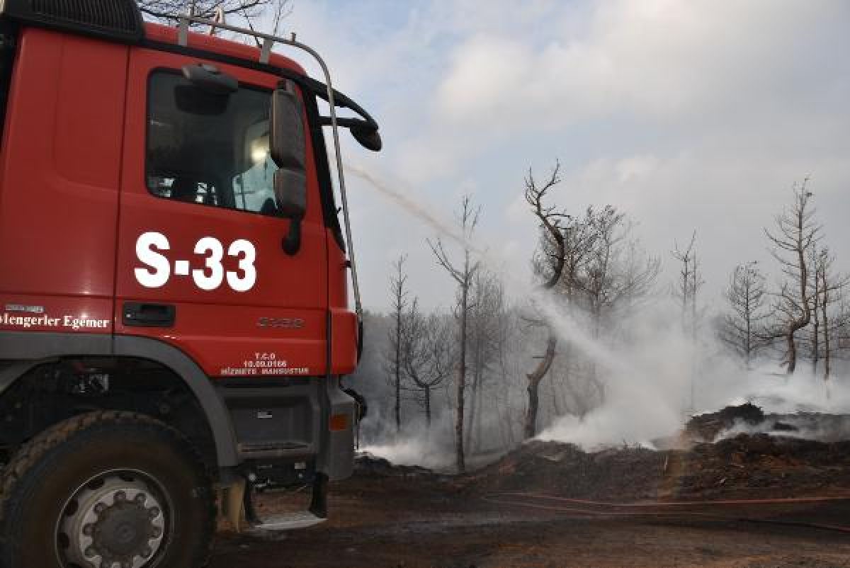 Gelibolu'da tarlaları yanan köylülerin üzüntüsü #10