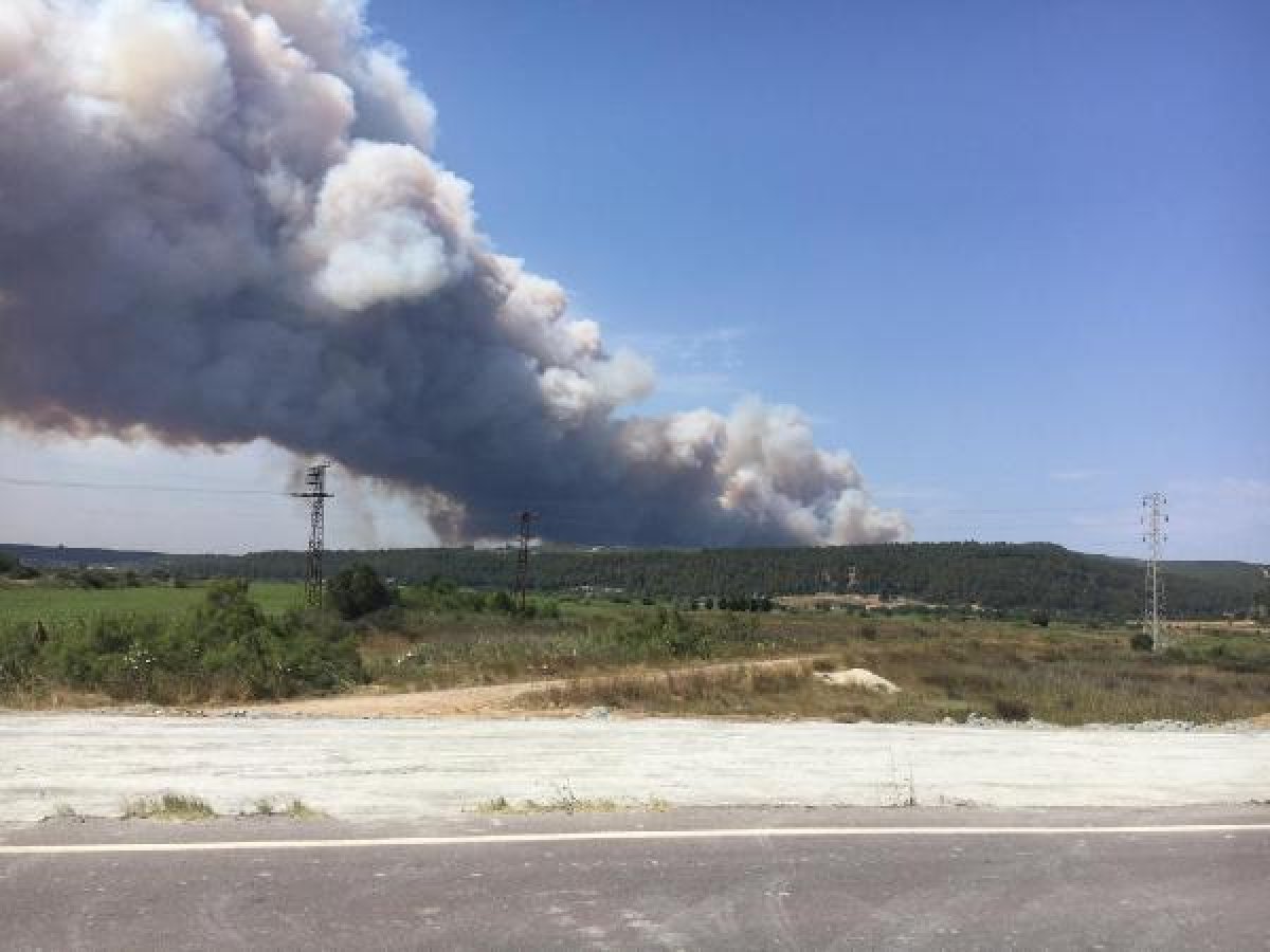 Gelibolu Yarımadası'nda orman yangını #6