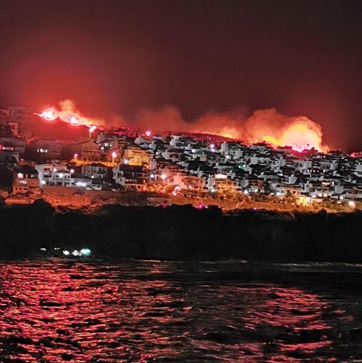İzmir'de makilik alanda yangın, siteleri tehdit ediyor #1