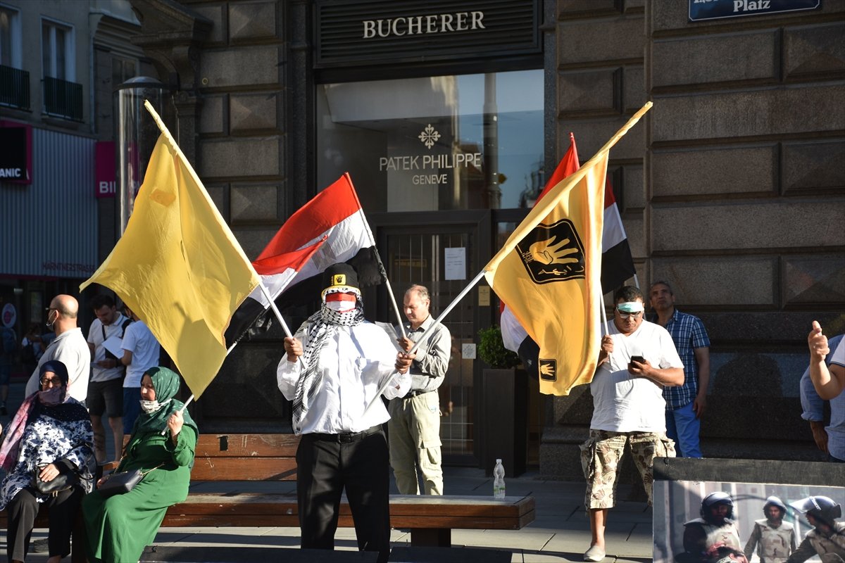 Viyana'da Sisi'yi protesto ettiler #4