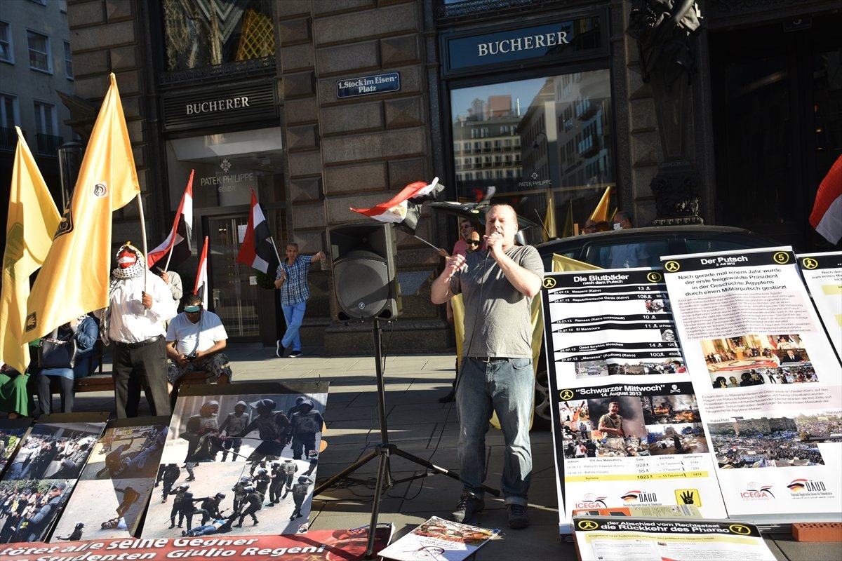 Viyana'da Sisi'yi protesto ettiler #5