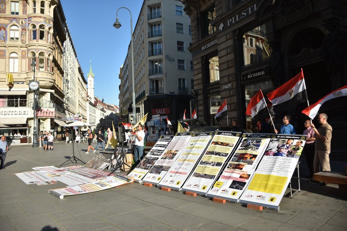Viyana'da Sisi'yi protesto ettiler #6