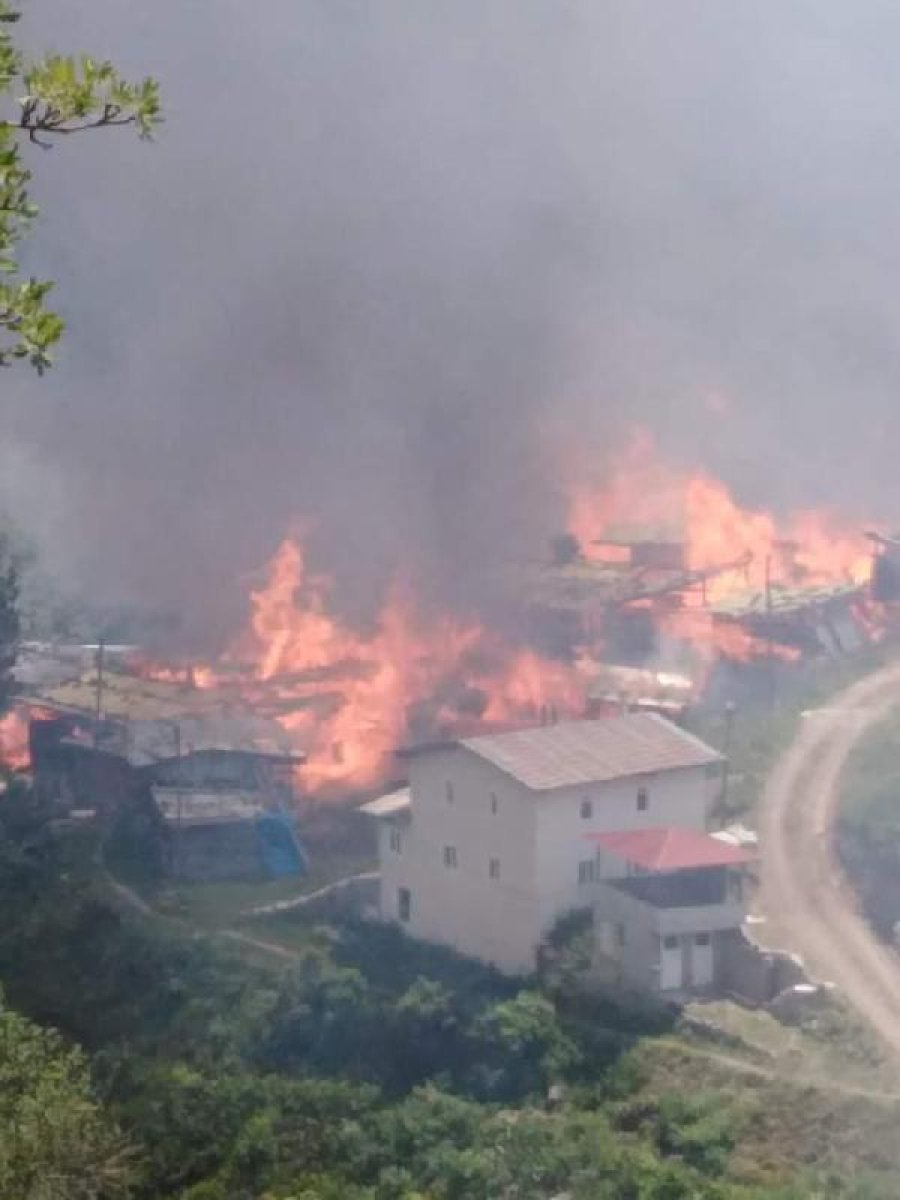 Artvin'deki köy evlerinde yangın çıktı #5