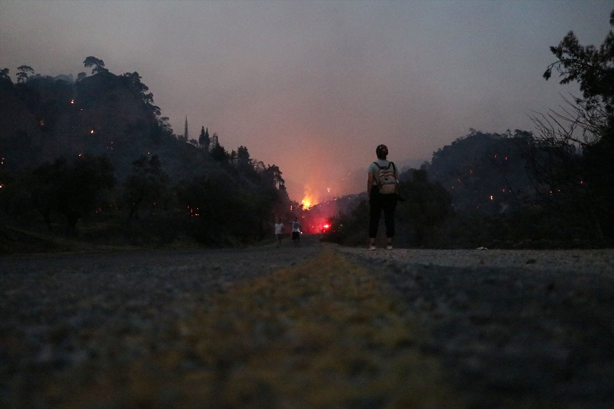 Aydın'da ağaçlık arazide yangın çıktı #2
