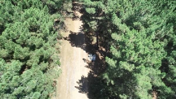 Aydos Ormanı nda drone ile mangal denetimi #2