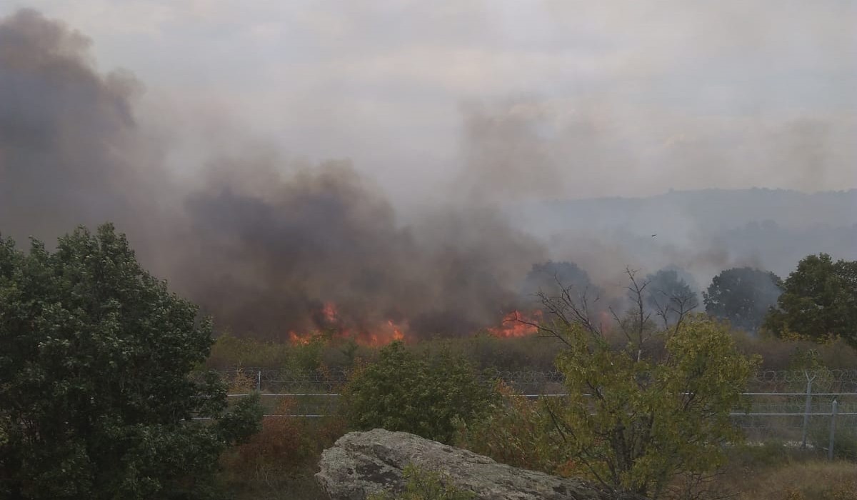 Bulgaristan sınırındaki yangın, Türkiye yi alarma geçirdi #2