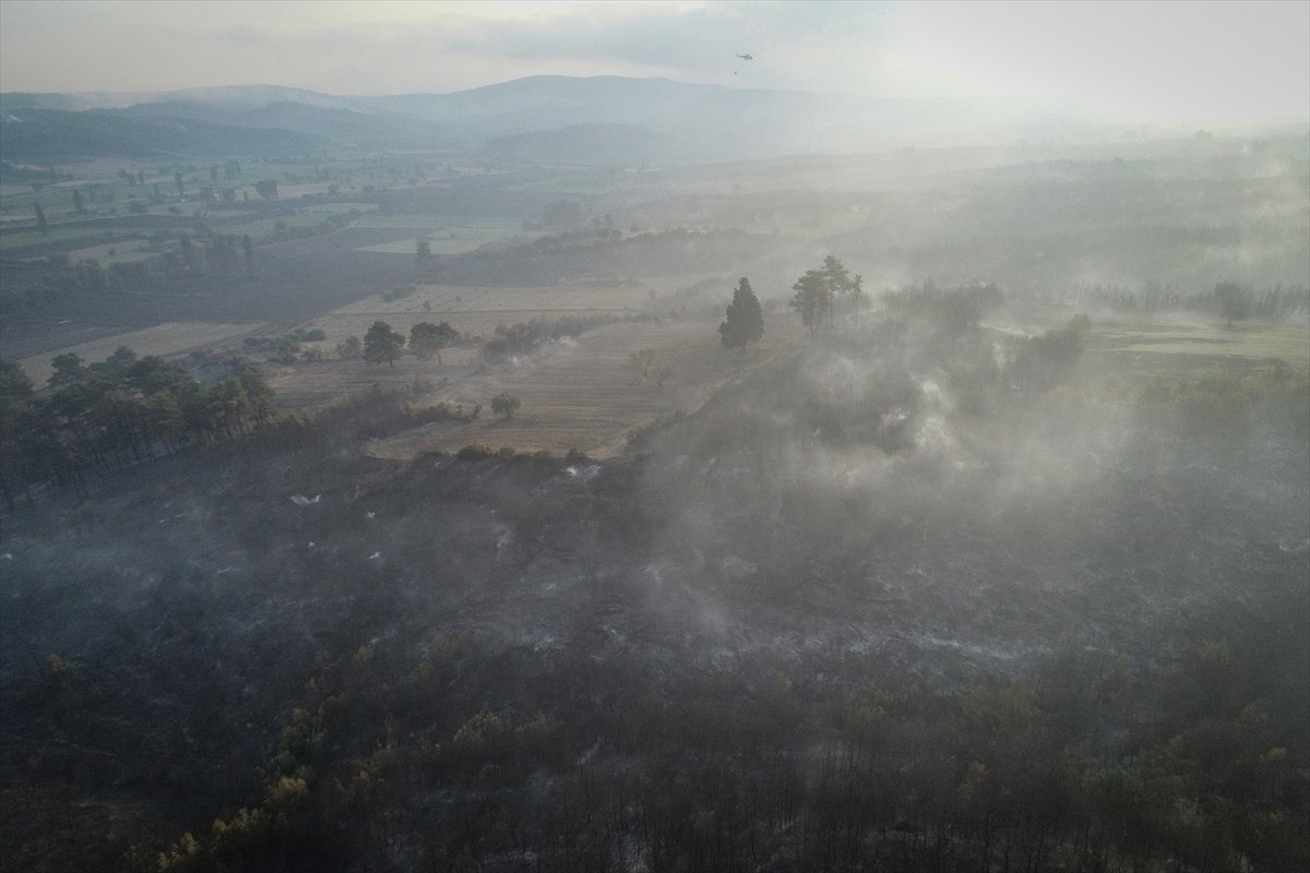 Çanakkale'deki orman yangınında son durum #2