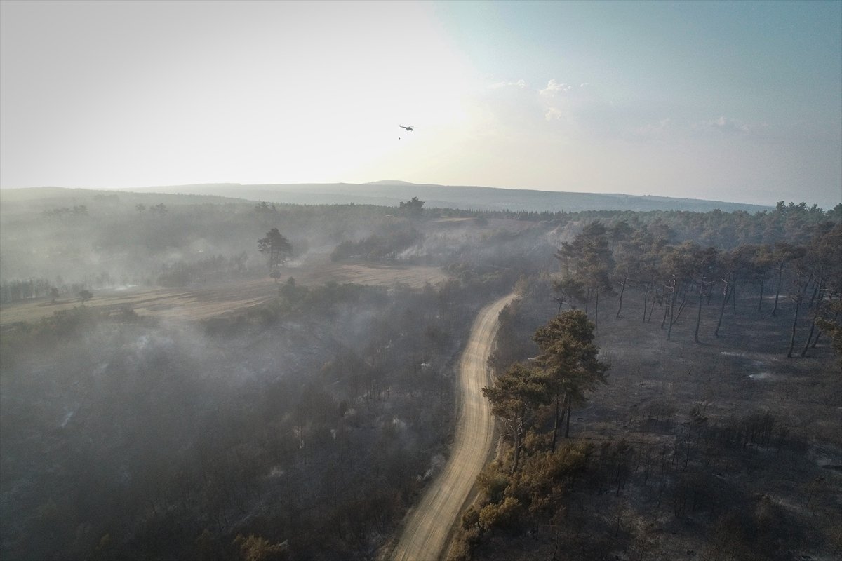 Çanakkale'deki orman yangınında son durum #3
