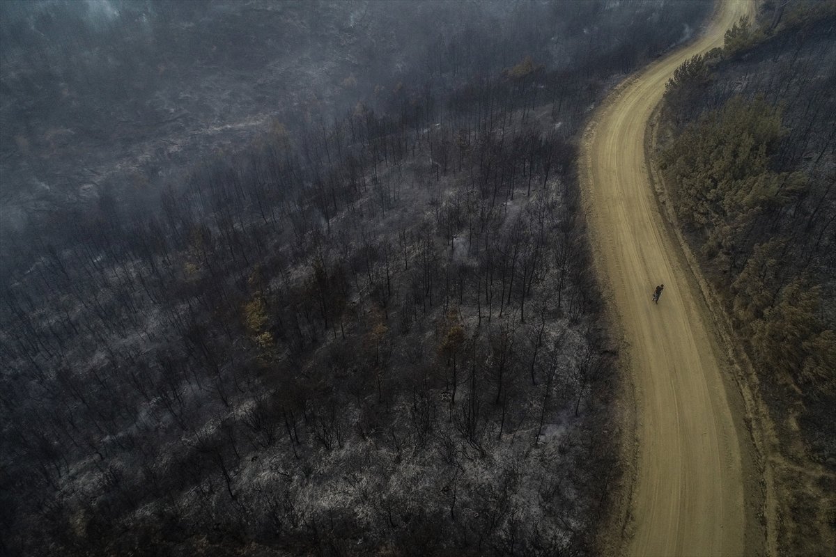 Çanakkale'deki orman yangınında son durum #6