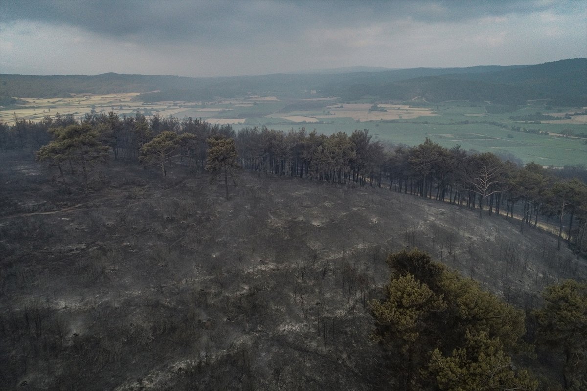Çanakkale'deki orman yangınında son durum #7
