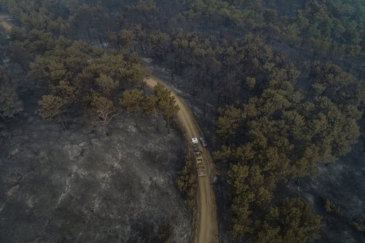 Çanakkale'deki orman yangınında son durum #9