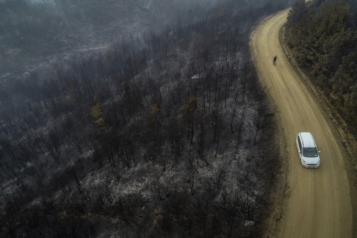 Çanakkale'deki orman yangınında son durum #10