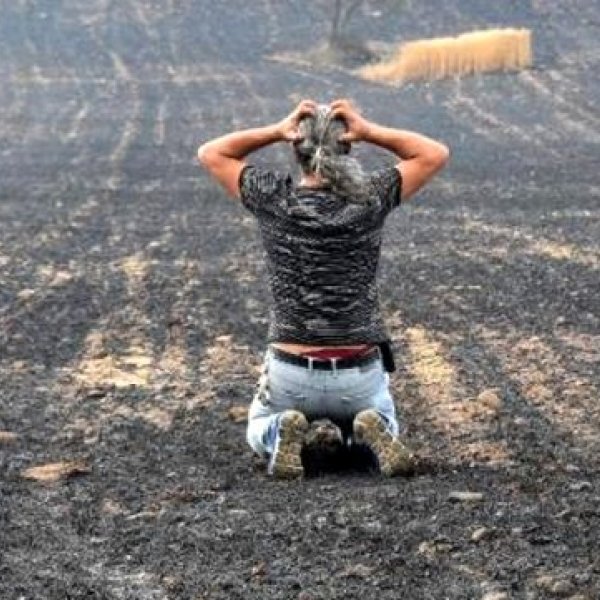 Çanakkale yangınındaki fotoğrafın hikayesi ortaya çıktı #1