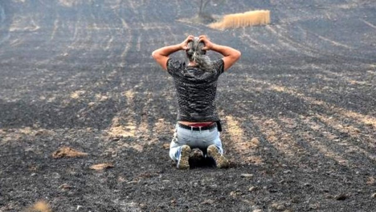Çanakkale yangınındaki fotoğrafın hikayesi ortaya çıktı #3