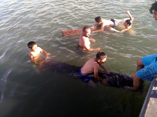 Çıldır Gölü'nde yüzme keyfi