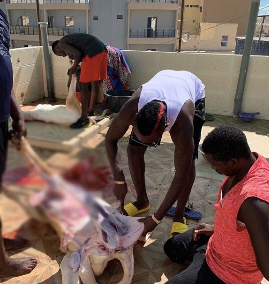 Diagne, Senegal'de kurban kesti #2