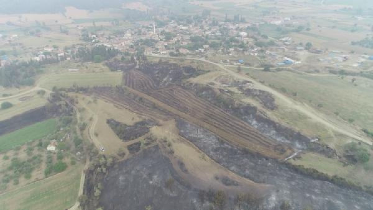 Gelibolu'da tarlaları yanan köylülerin üzüntüsü #4
