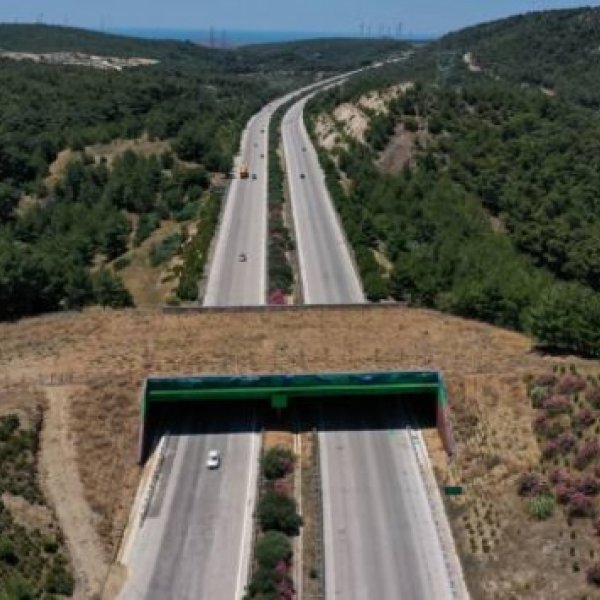 İzmir-Çeşme Otoyolundaki ekolojik köprü tamamlandı #1