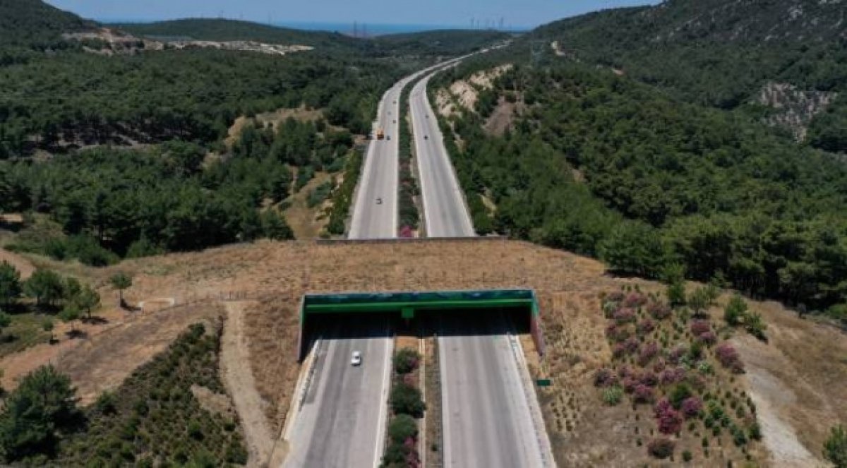 İzmir-Çeşme Otoyolundaki ekolojik köprü tamamlandı #2
