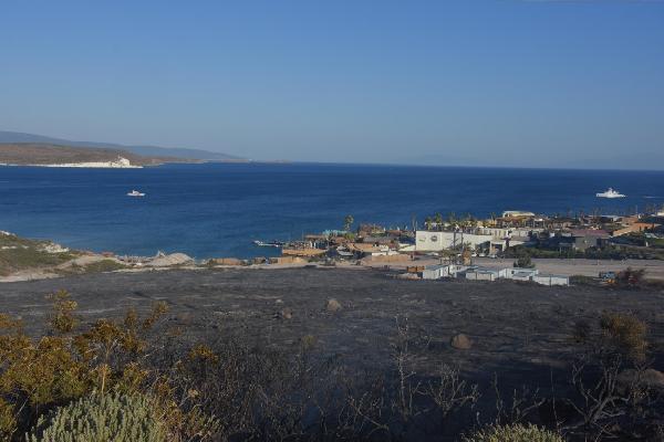 İzmir'deki orman yangınında zarar gören alan soğutuluyor #1