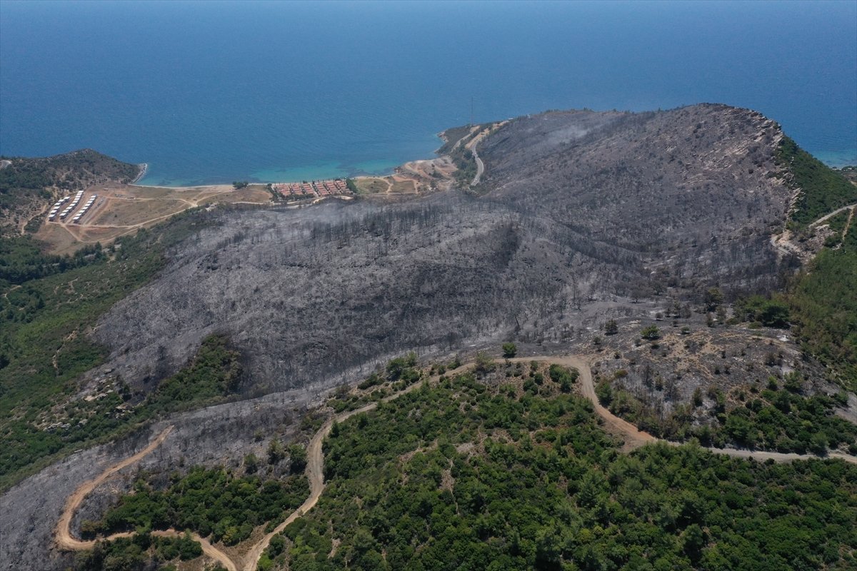 İzmir'deki orman yangınından geriye kalan #1