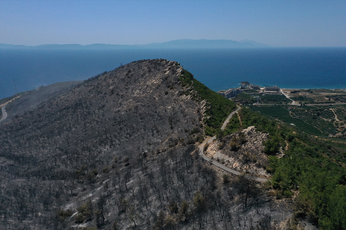 İzmir'deki orman yangınından geriye kalan #2