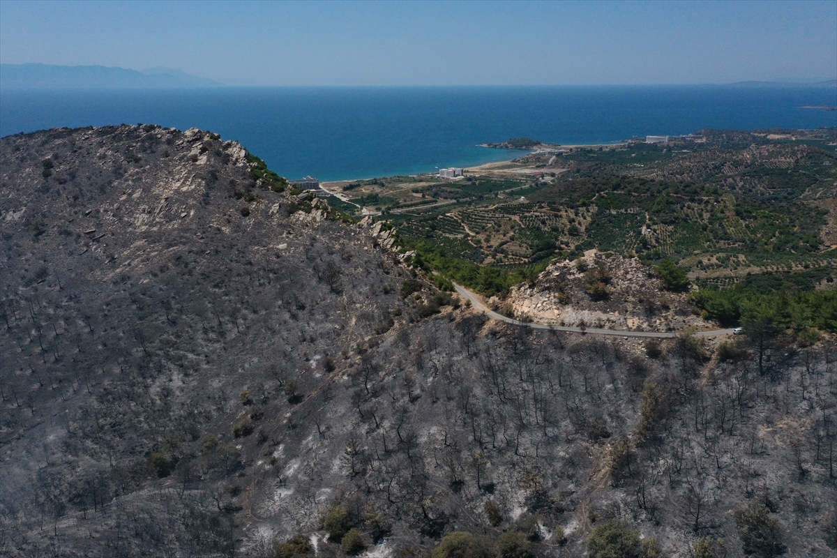 İzmir'deki orman yangınından geriye kalan #6