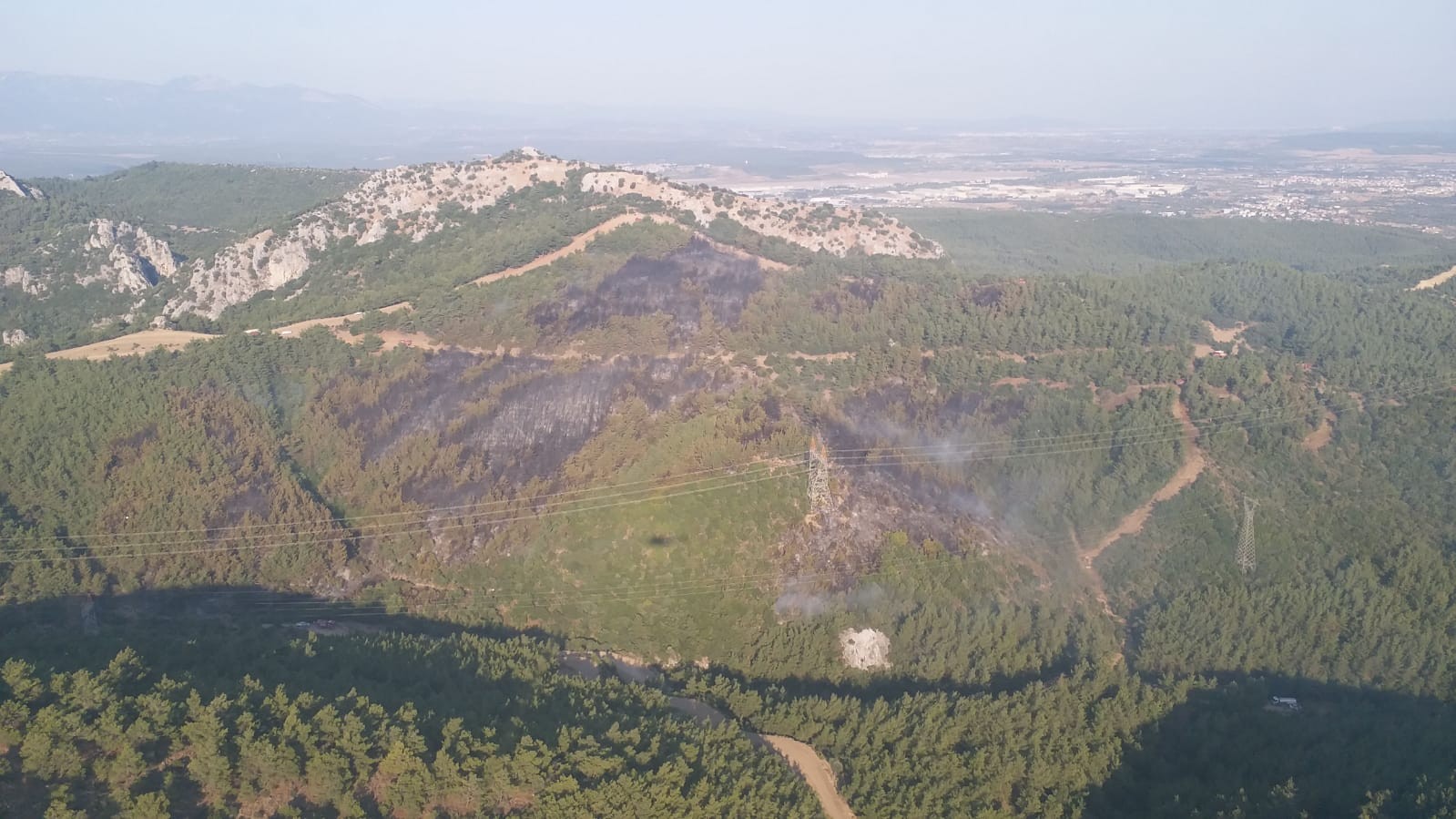 İzmir Menderes teki orman yangınının şüphelisi tutuklandı #1
