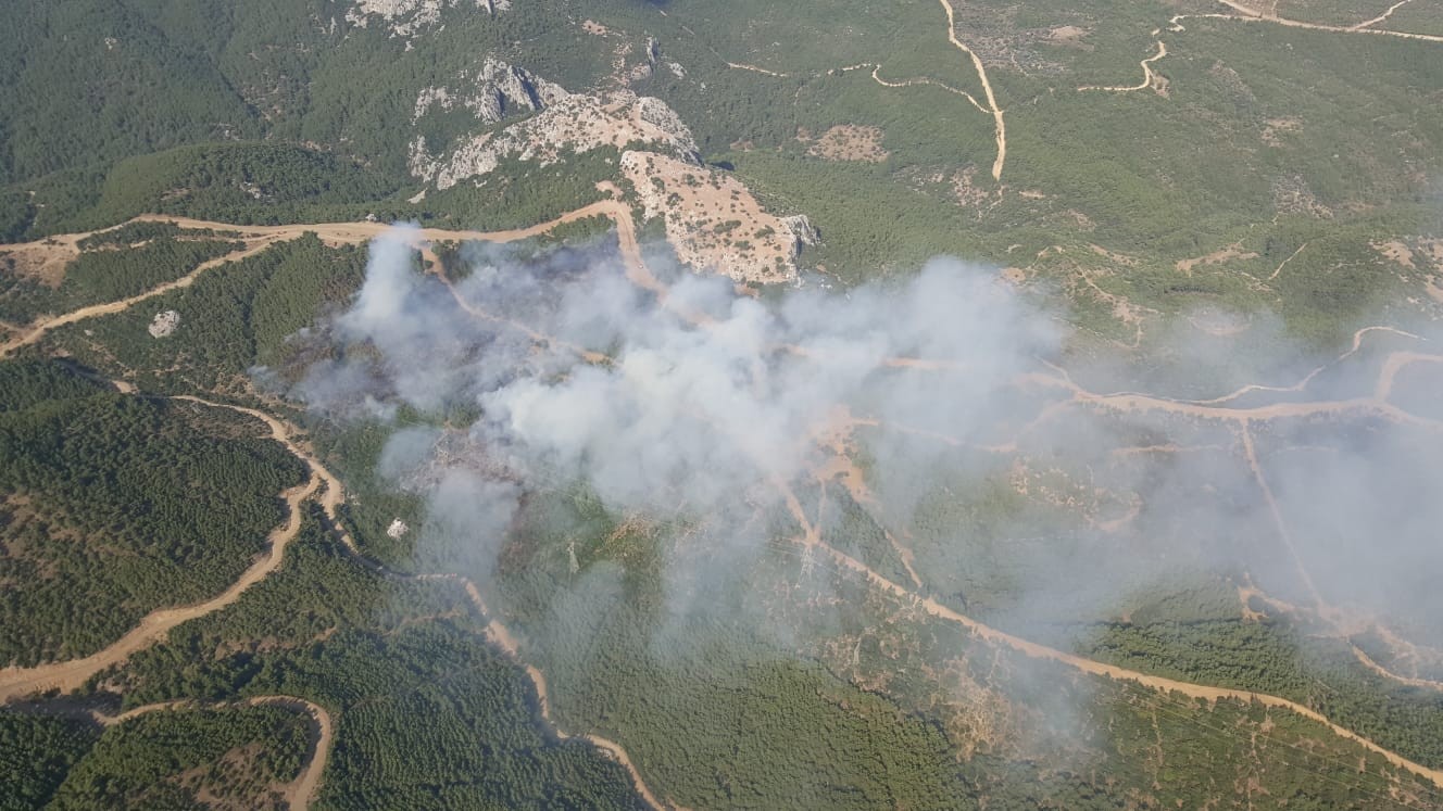 İzmir Menderes teki orman yangınının şüphelisi tutuklandı #2