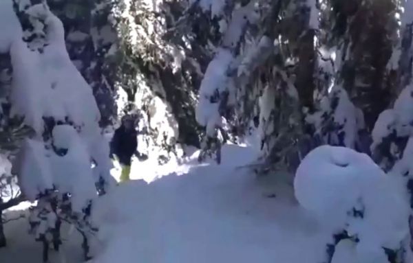 Kartalkaya ’da kaybolan 3 kayakçıyı jandarma kurtardı -2