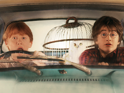 Harry Potter kitabı 453 bin liraya satıldı