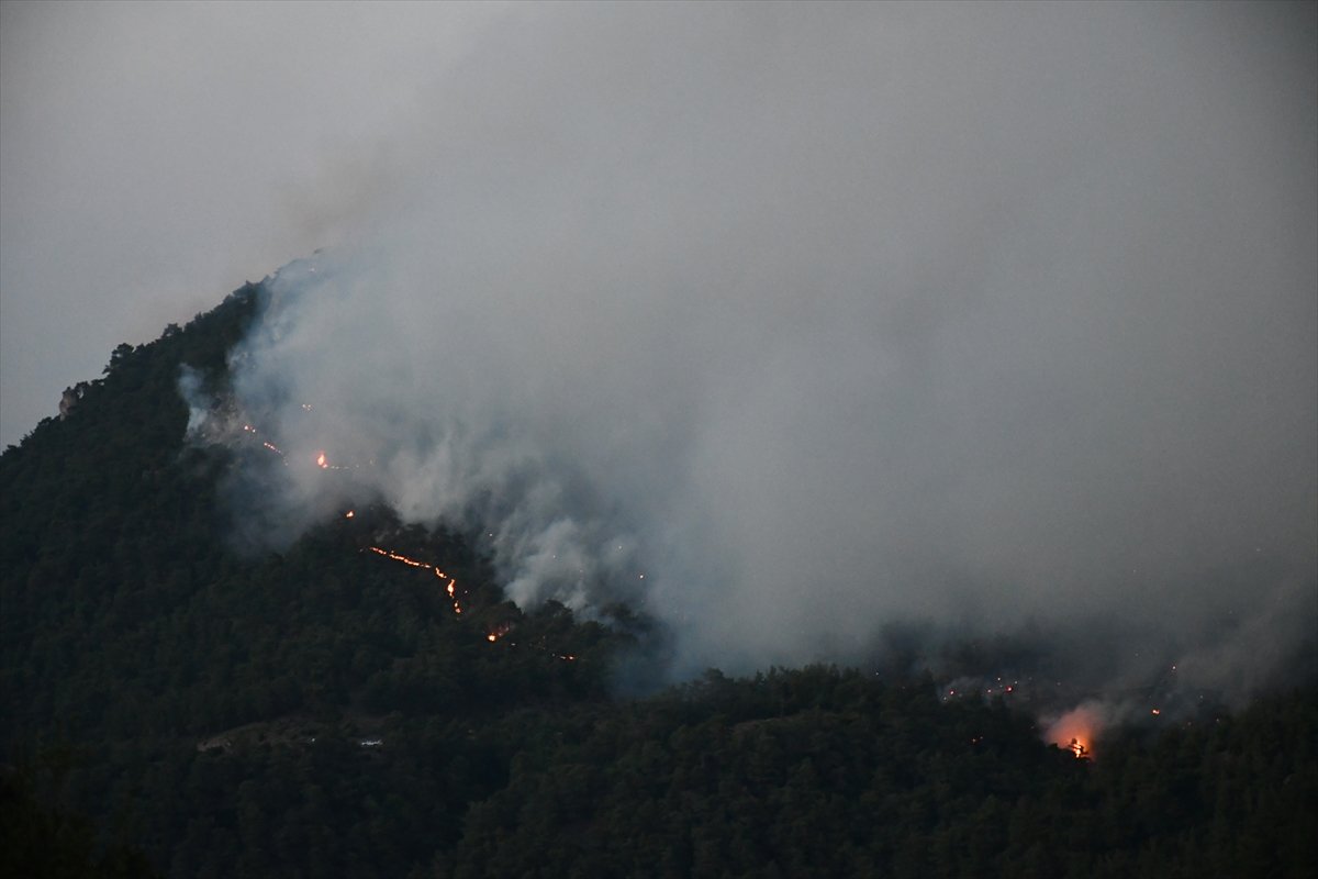 Manisa'da orman yangını yerleşimlere ulaştı #1