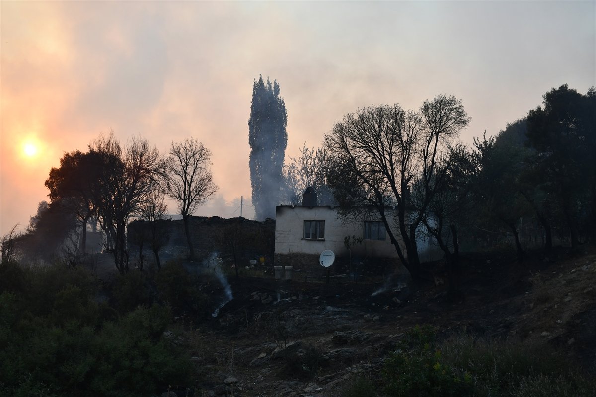 Manisa'da orman yangını yerleşimlere ulaştı #9