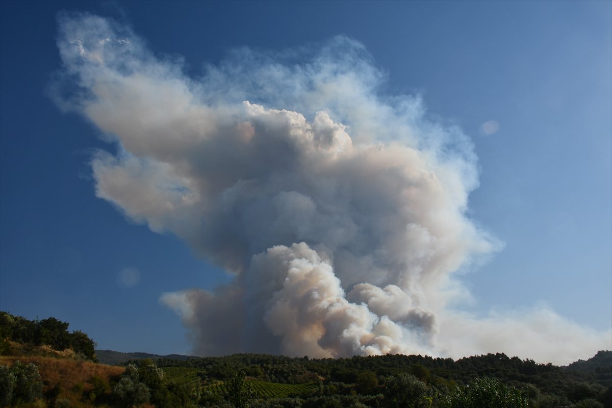 Manisa'da orman yangını yerleşimlere ulaştı #14