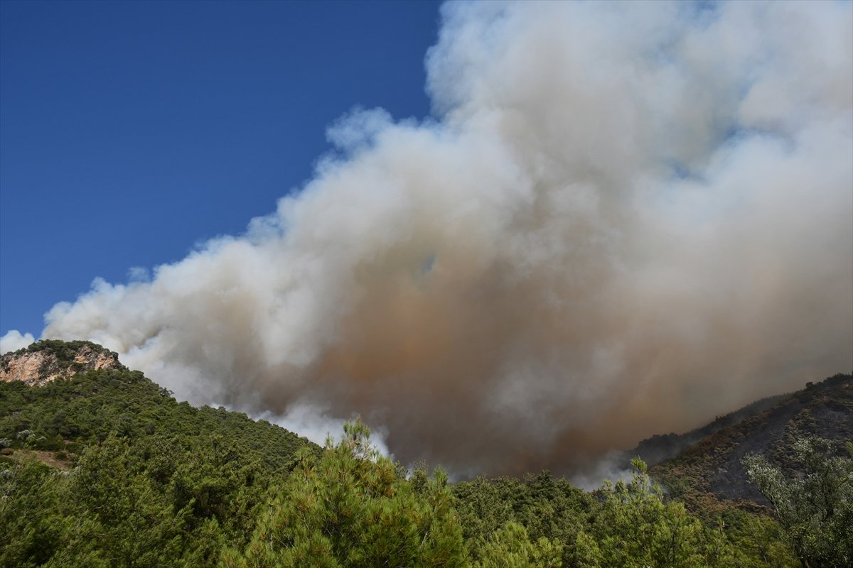 Manisa'da orman yangını yerleşimlere ulaştı #17