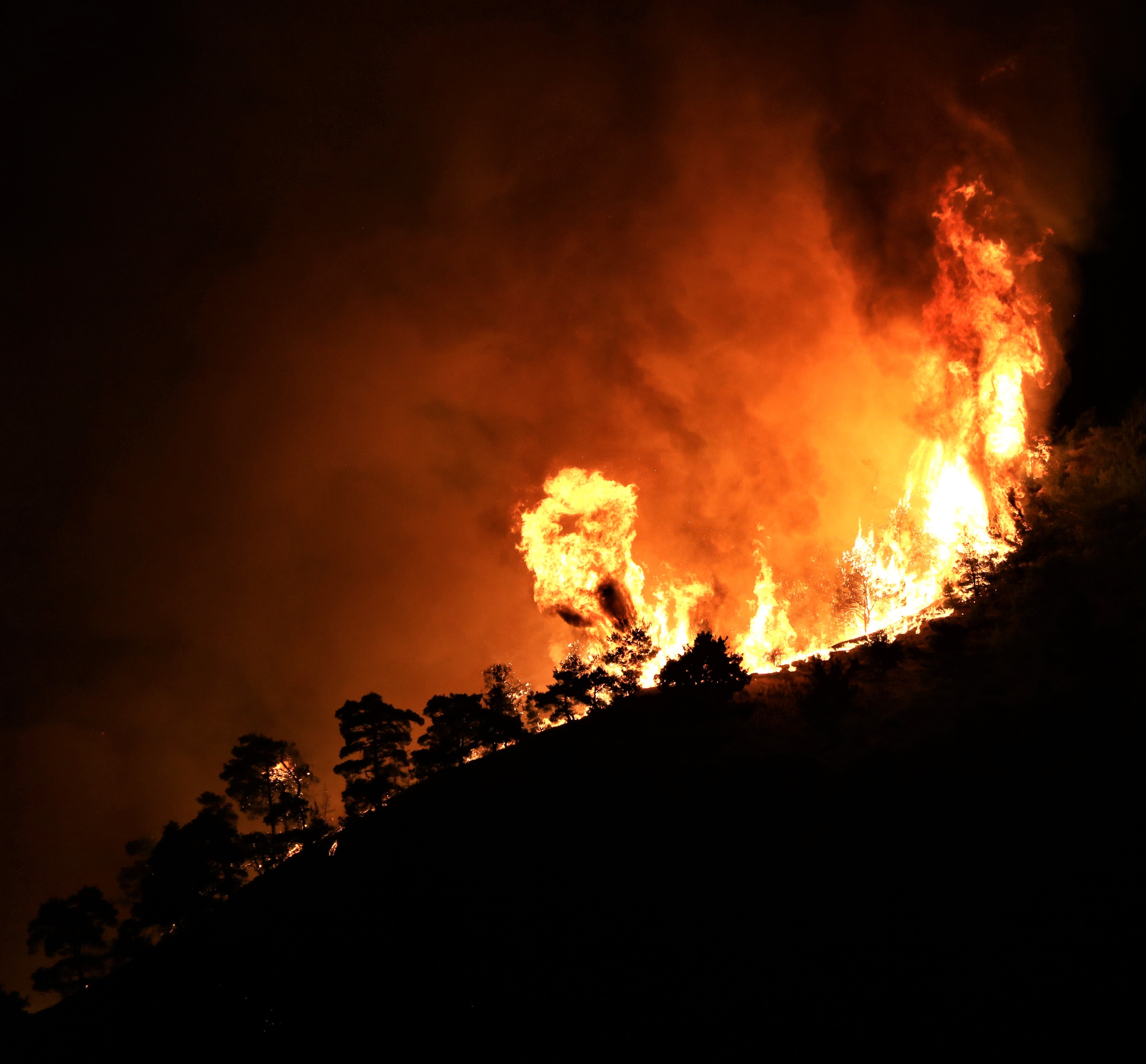 Manisalılar, orman yangınını çaresizlik içinde izledi #1