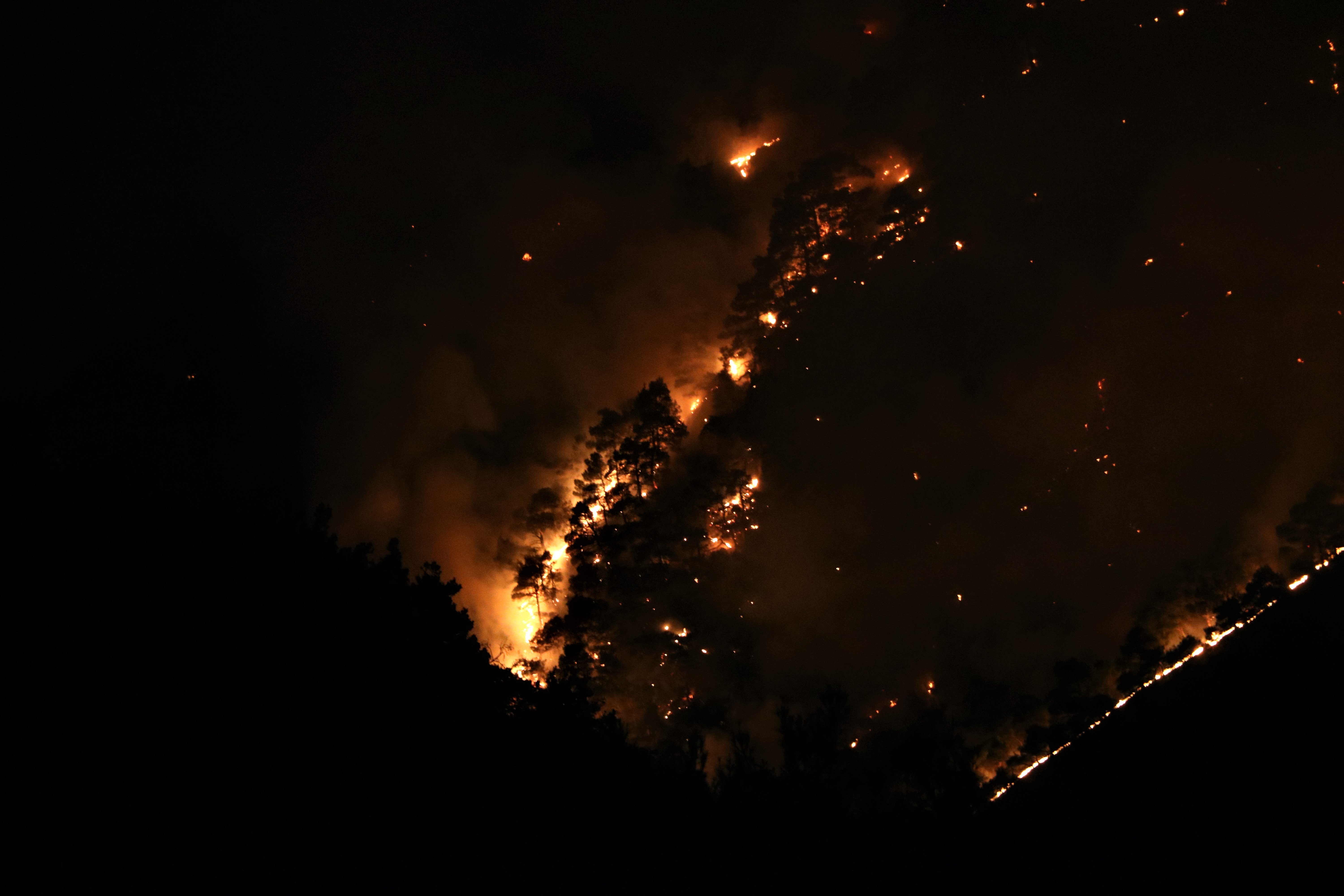 Manisalılar, orman yangınını çaresizlik içinde izledi #6