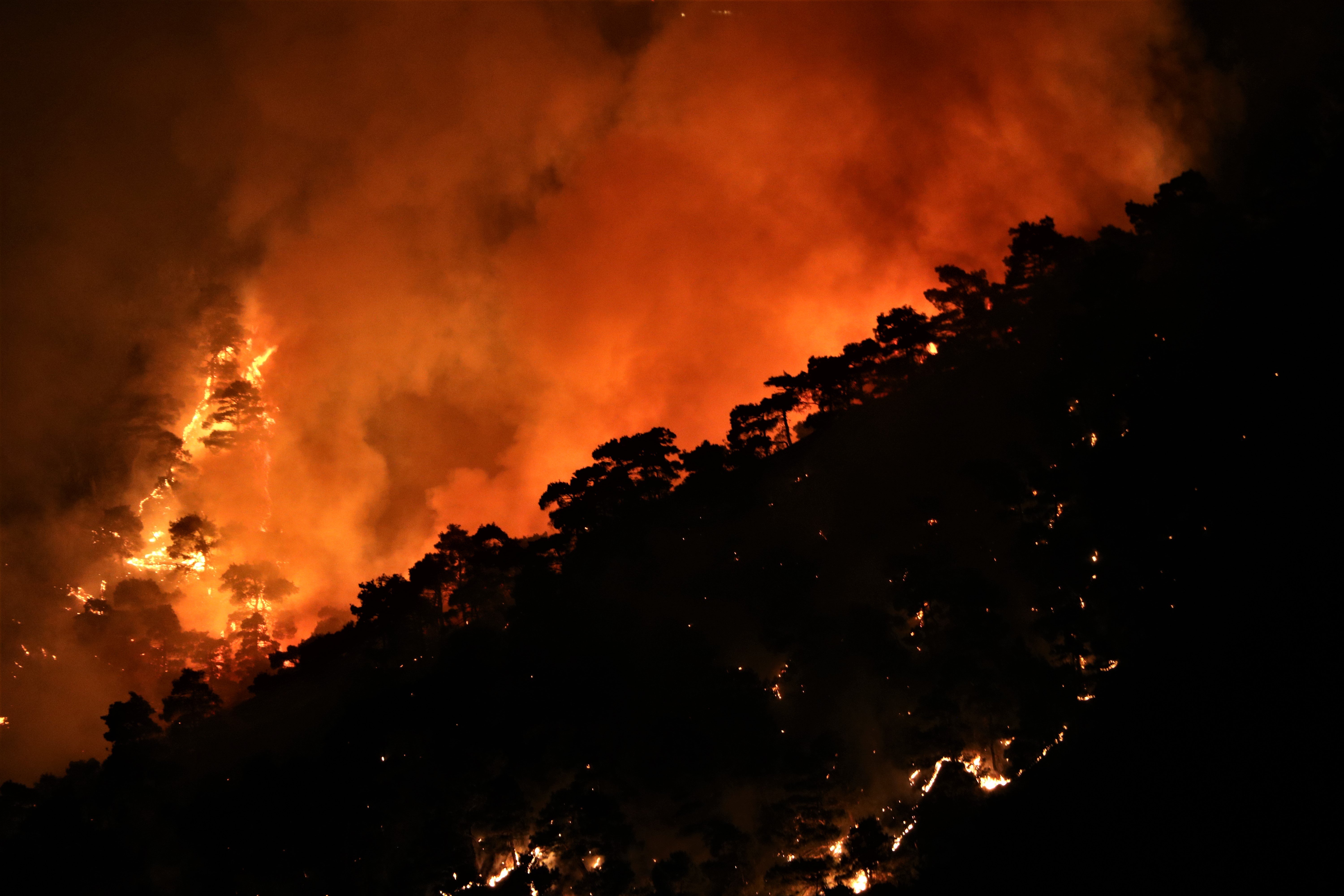 Manisalılar, orman yangınını çaresizlik içinde izledi #8