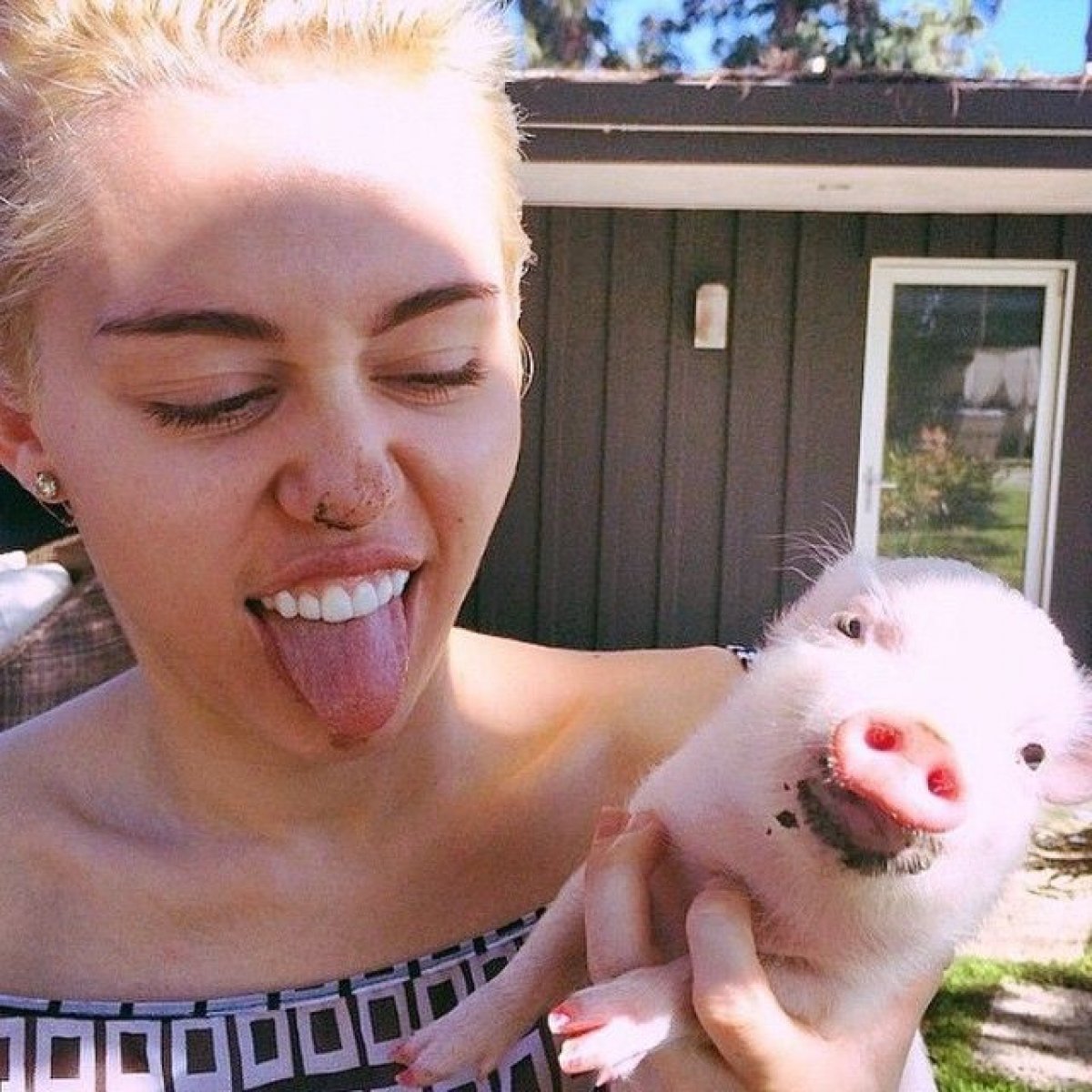 Miley Cyrus: Beynim çalışmıyor #3