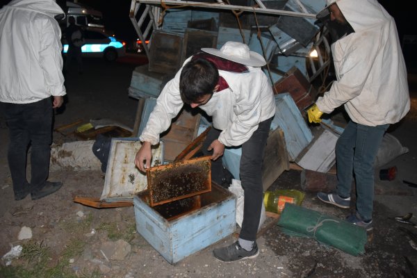 Şanlıurfa'da arı kovanları taşıyan kamyonet tırla