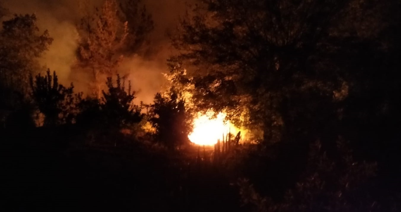 Tarım ve Orman Bakanı Bekir Pakdemirli: Yangın kasıtlı çıkarılmış olabilir #1