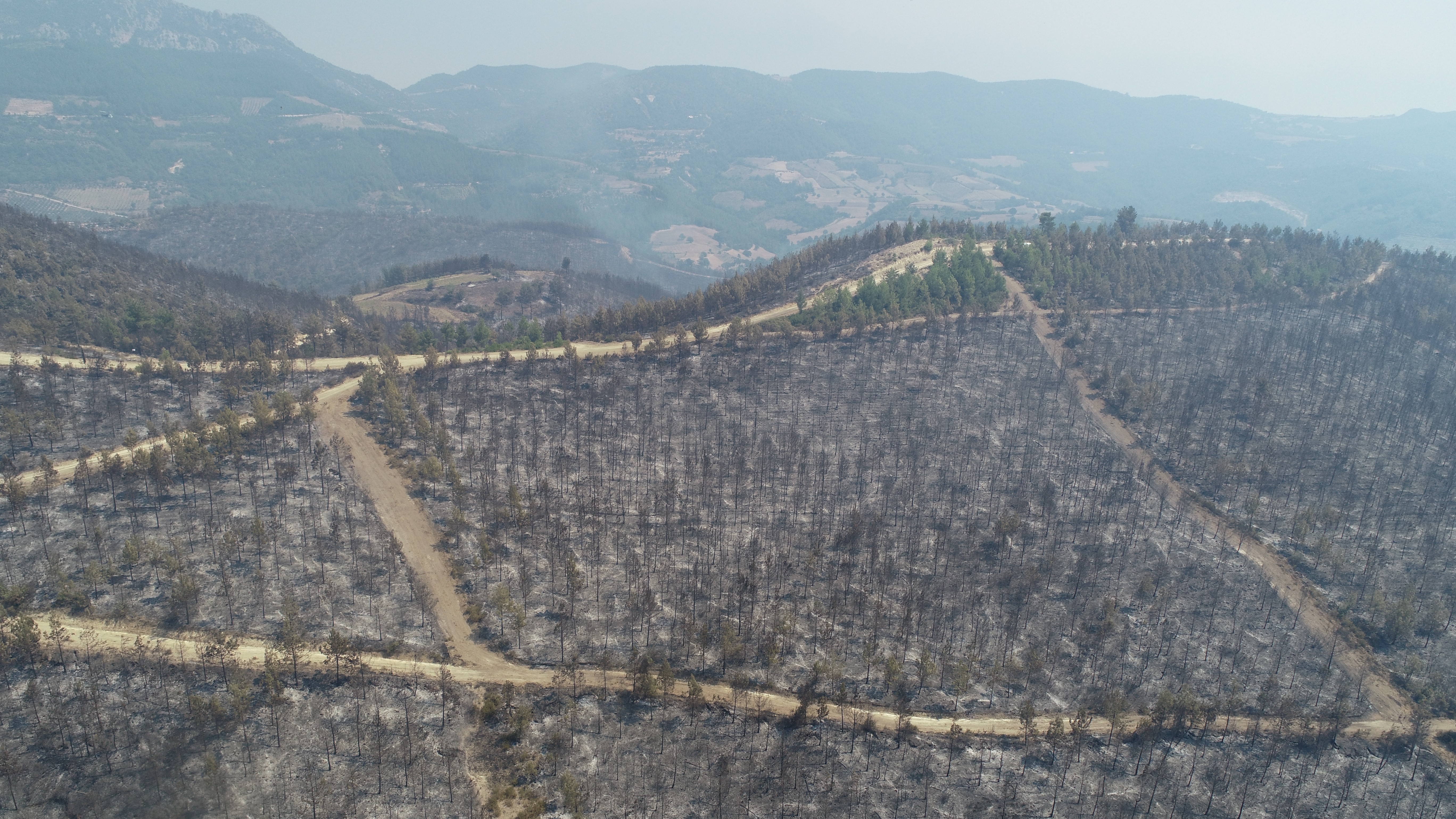 Tarım ve Orman Bakanı Bekir Pakdemirli: Yangın kasıtlı çıkarılmış olabilir #2